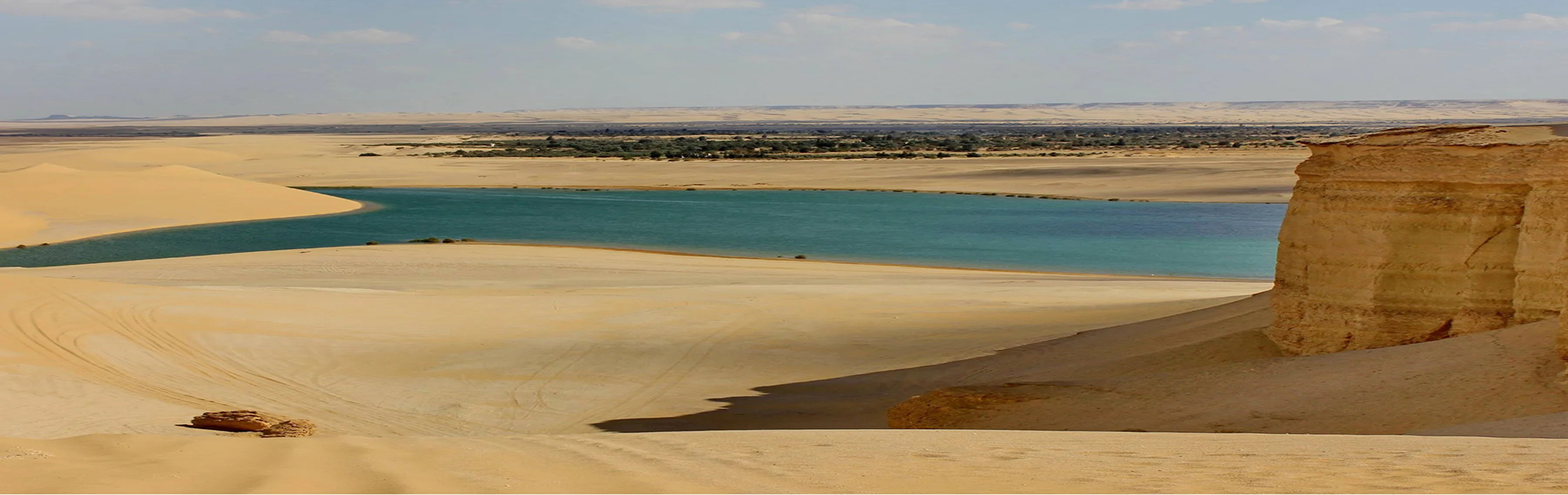Tagestour zur El-Fayoum-Oase mit Besuchen im Wadi El-Rayan und Wadi El-Hitan